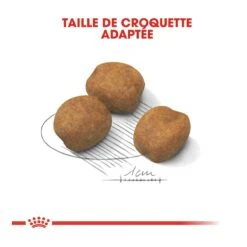 Royal Canin Giant Puppy - Hondenvoer - 15kg 12 Royal Canin Giant Puppy - Hondenvoer - 15kg -Dierenwinkel royal canin giant puppy giant puppy 3