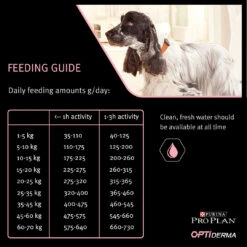 Purina Pro Plan Adult 7+ Medium & Large Optiderma 14Kg 5 Purina Pro Plan Adult 7+ Medium & Large Optiderma 14Kg -Dierenwinkel si 4 pp dog optiderma medium adult 7 sens skin salmon fg 1080x1080 1